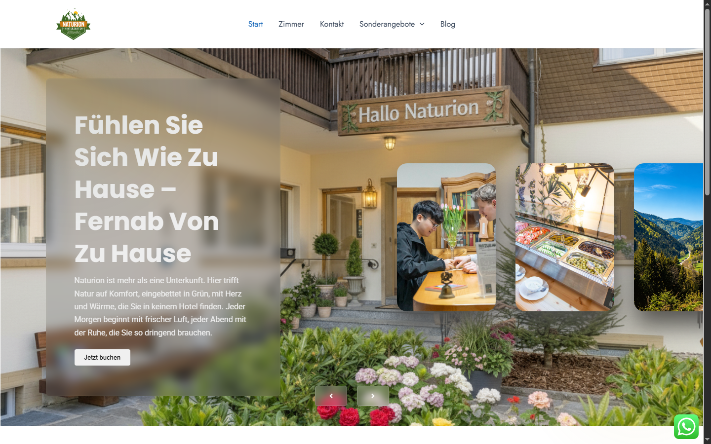 Naturion – strona firmowa
